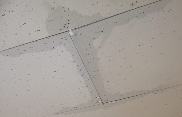 雨漏りの放置は危険