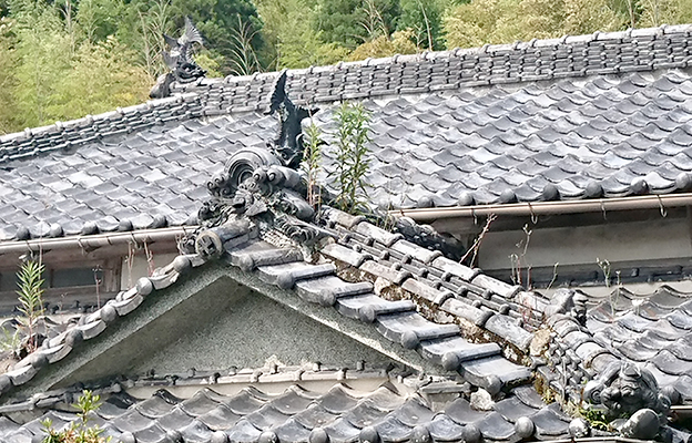 瓦の点検・診断