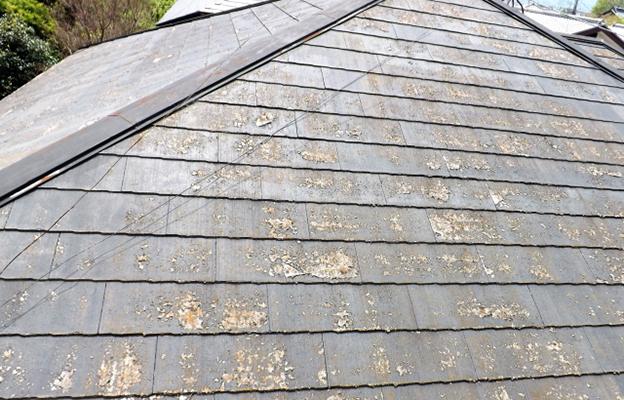 塗装が必要な瓦